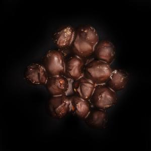 Lískové ořechy v hořké čokoládě